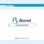 Gaji Karyawan Biznet