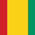Gaji Luar Negeri di Guinea