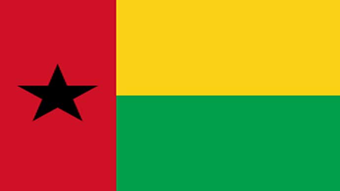 Gaji Luar Negeri di Guinea-Bissau