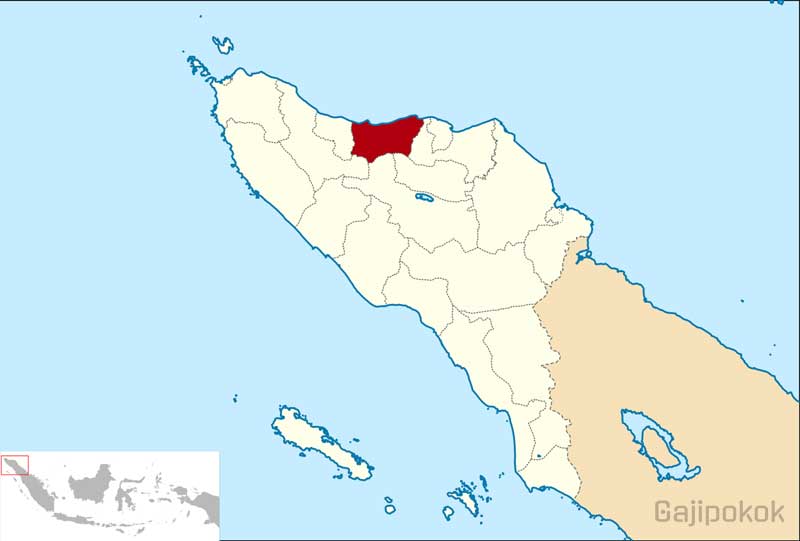 Gaji UMK Bireuen