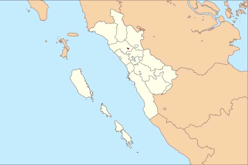 Gaji UMK Kota Bukittinggi