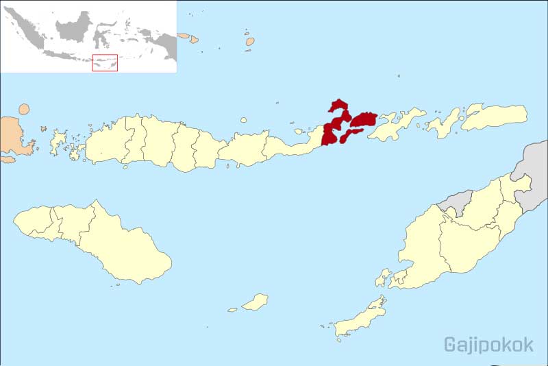 Gaji UMK Larantuka