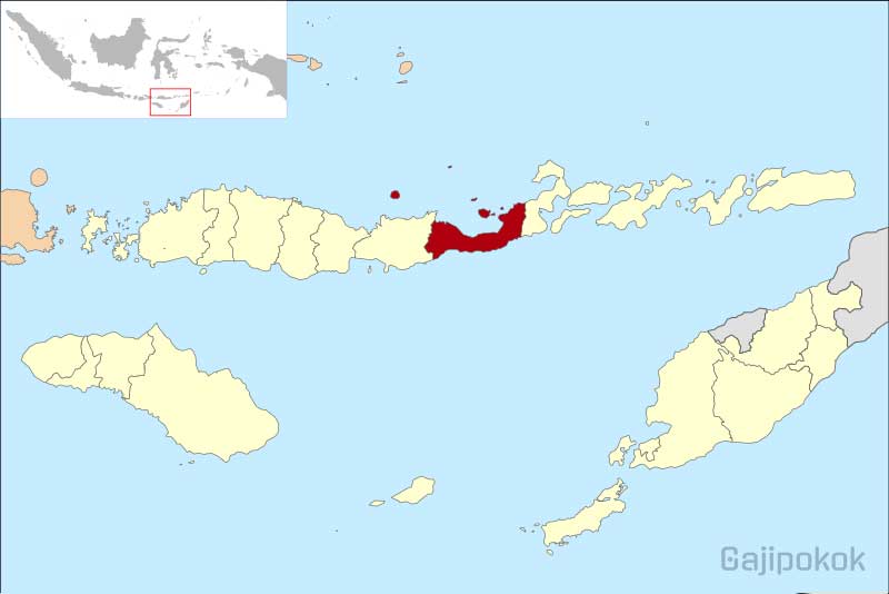 Gaji UMK Maumere