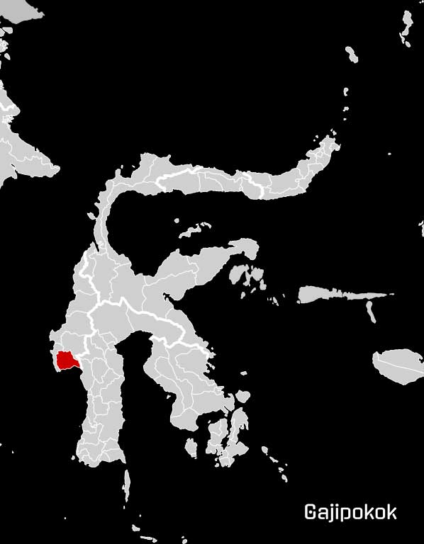 Gaji UMK Polewali