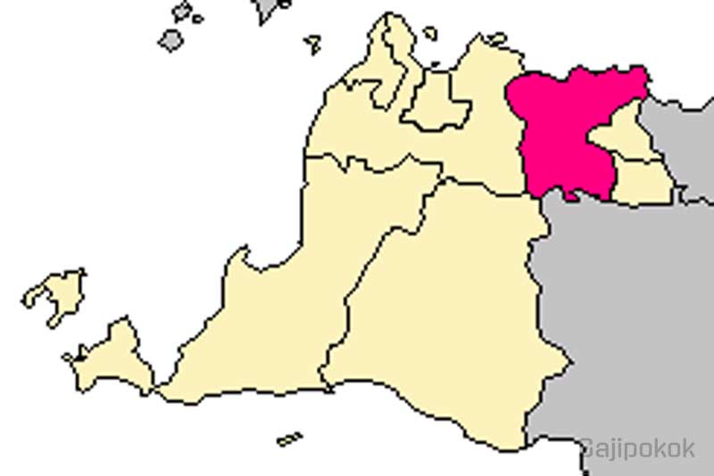 Gaji UMK Tigaraksa