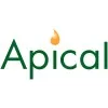 Logo Apical