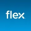 Logo Flex