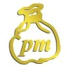 Logo PT. BPR Pundi Masyarakat