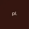 Logo The Plural